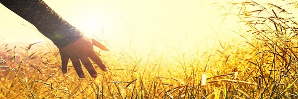 Deels toch zachte handhaving bij schijnzelfstandigheid